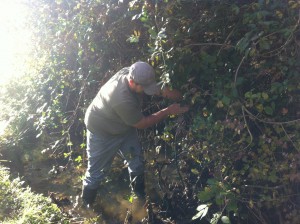 Photo 014