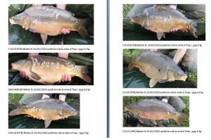 id carpes 2
