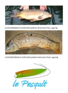 id carpes 3